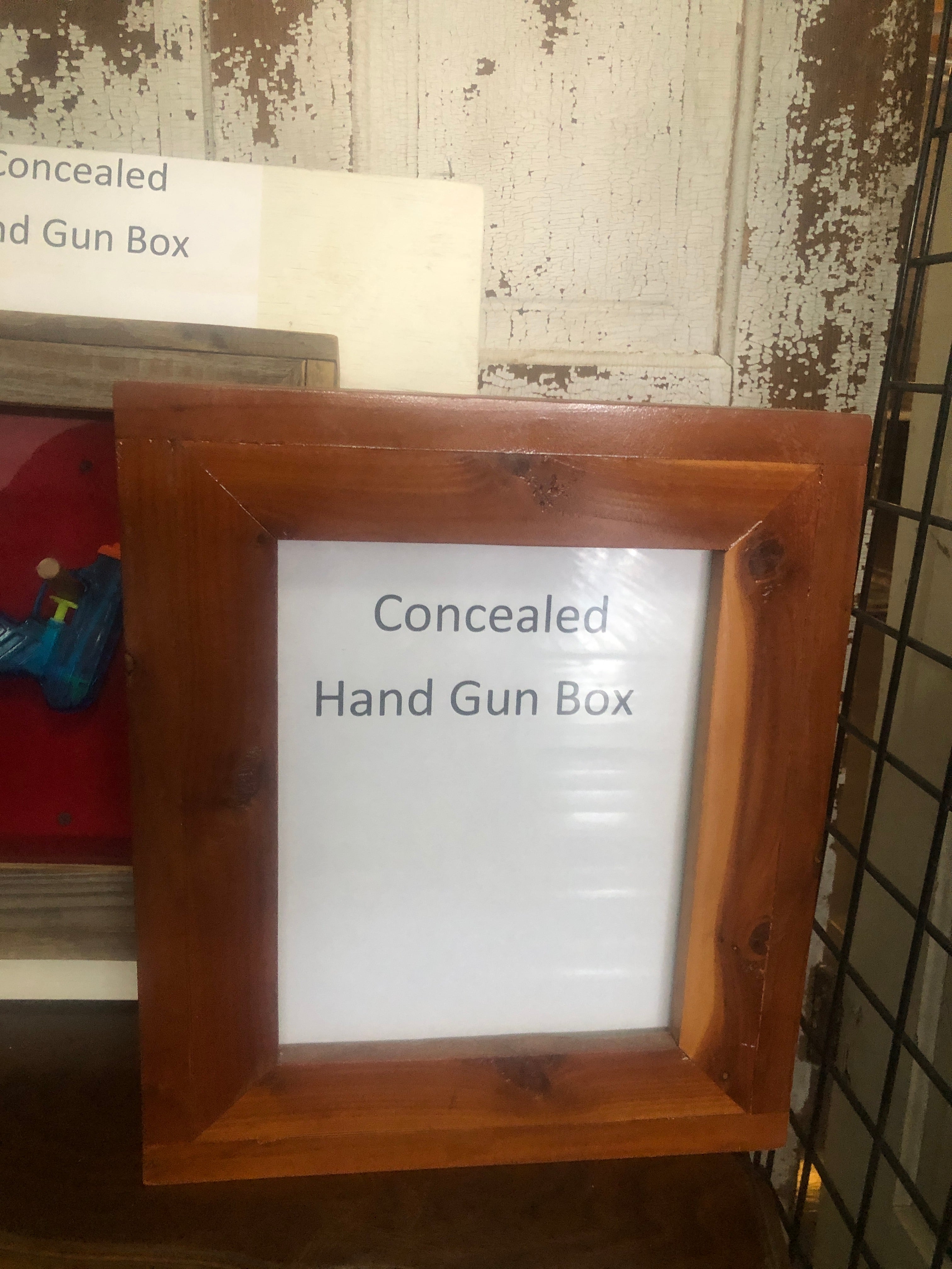 concealed handgun case