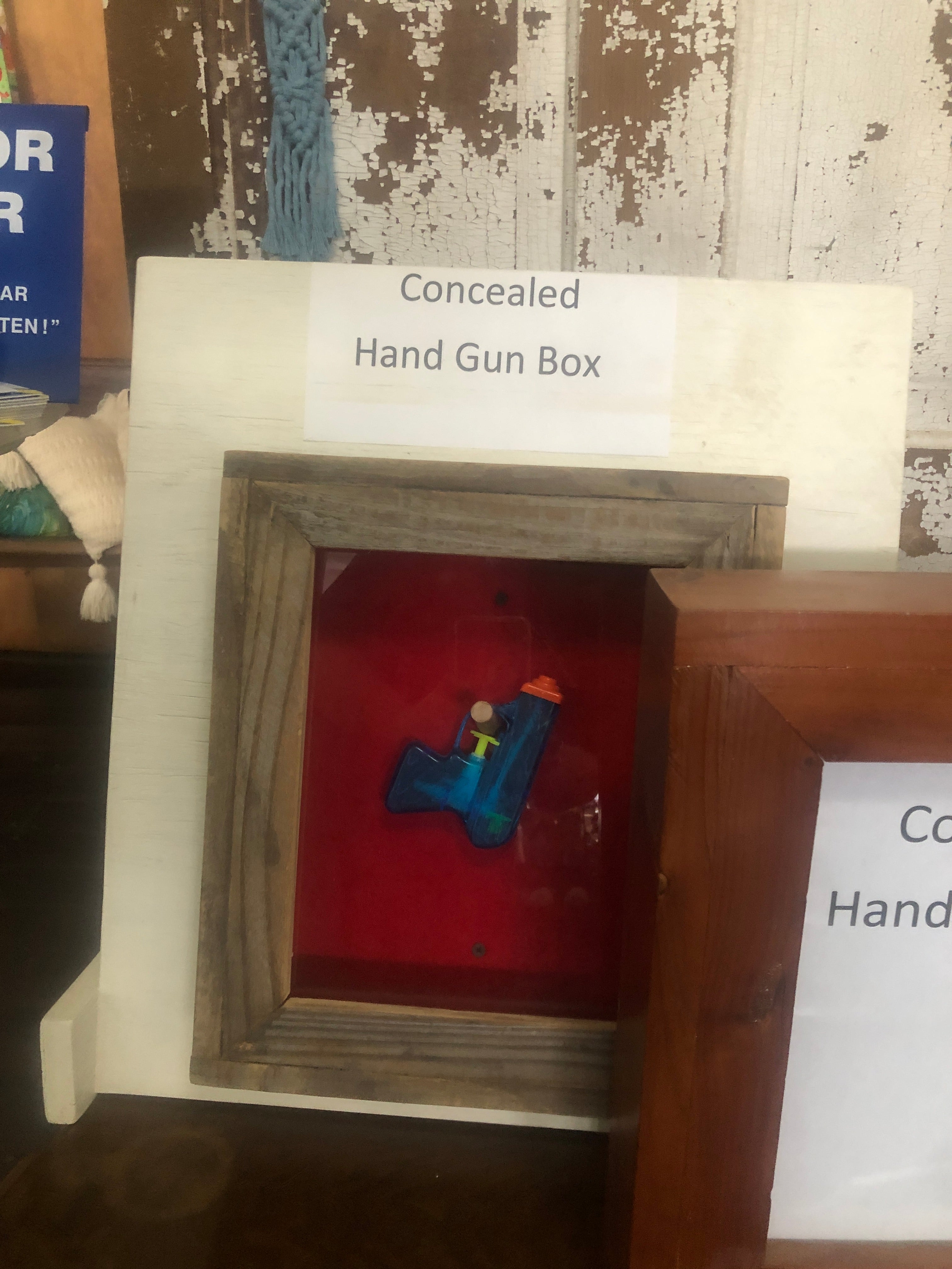 concealed handgun case