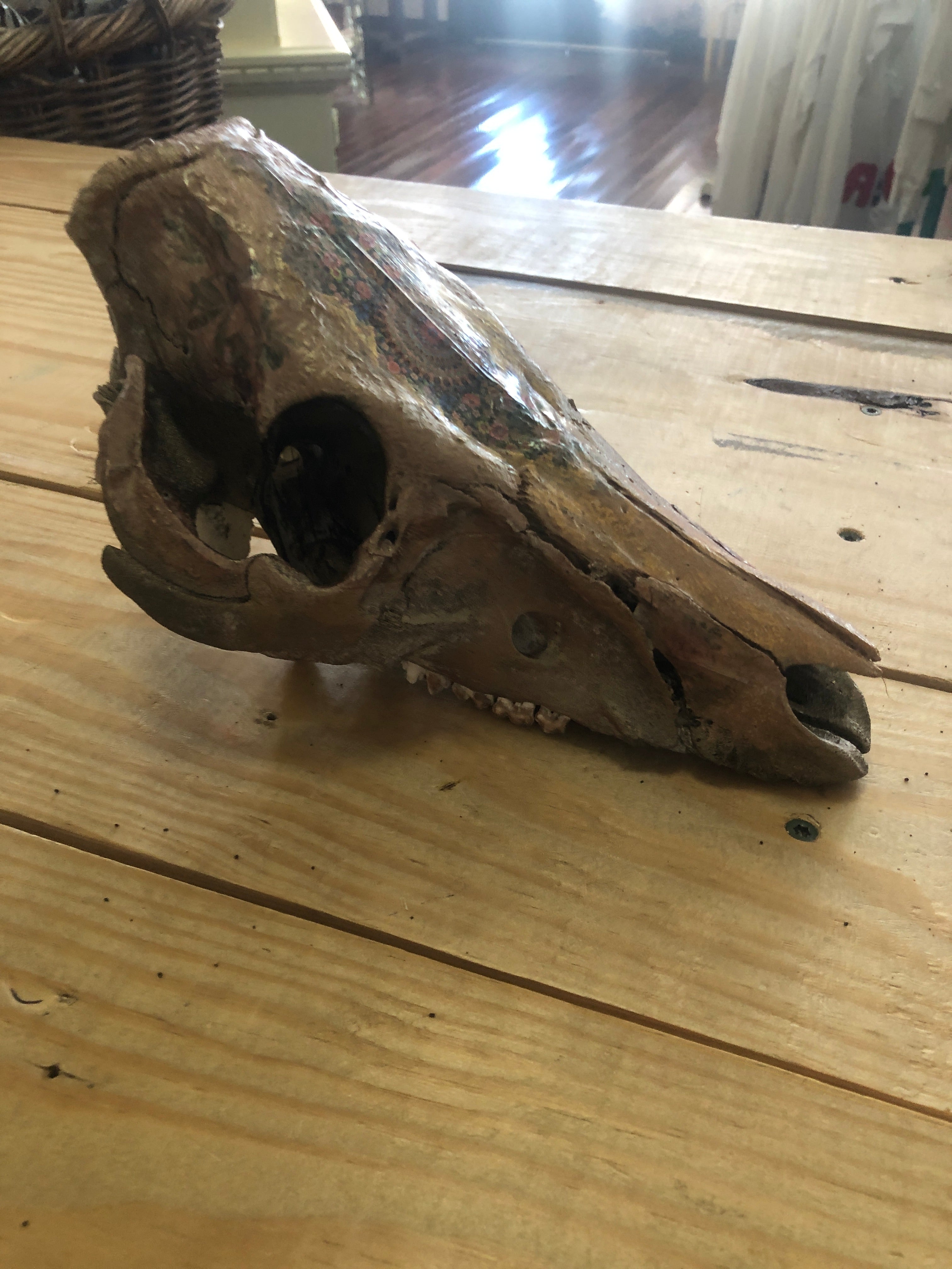 Small painted skull