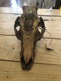 Small painted skull