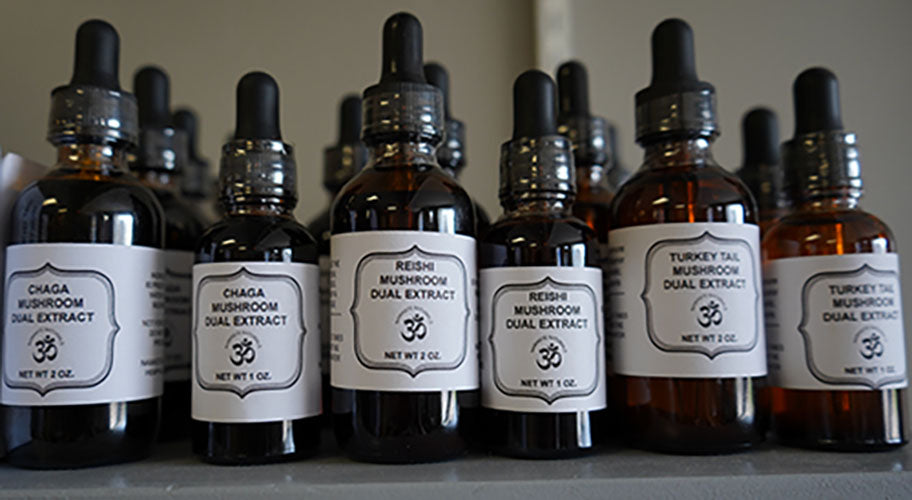 Reishi Mushroom Dual Extract