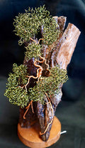 small driftwood tree