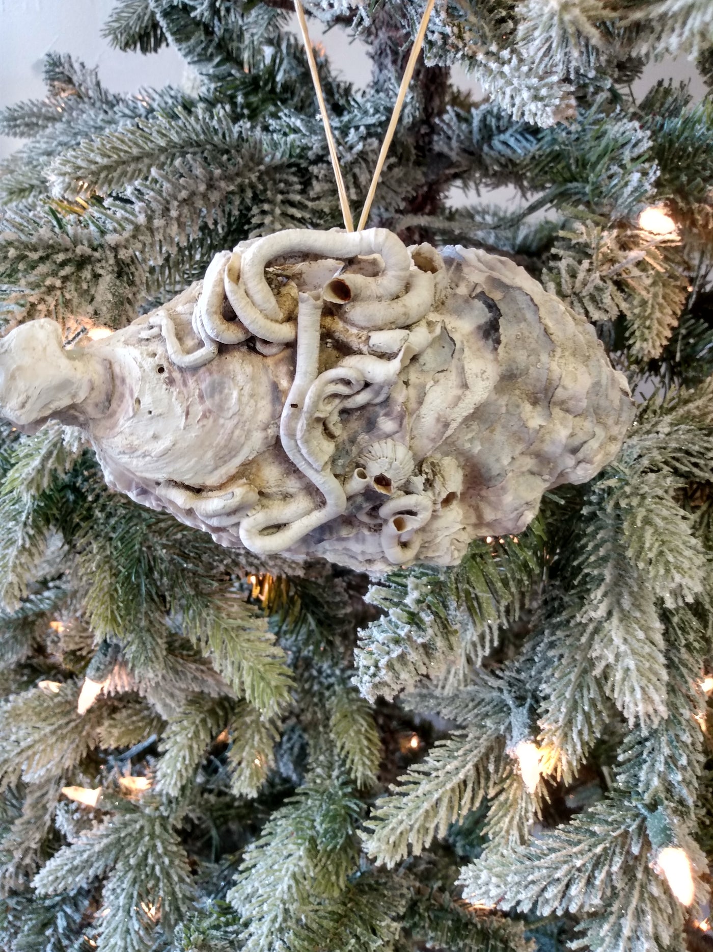 Large oyster shell ornament