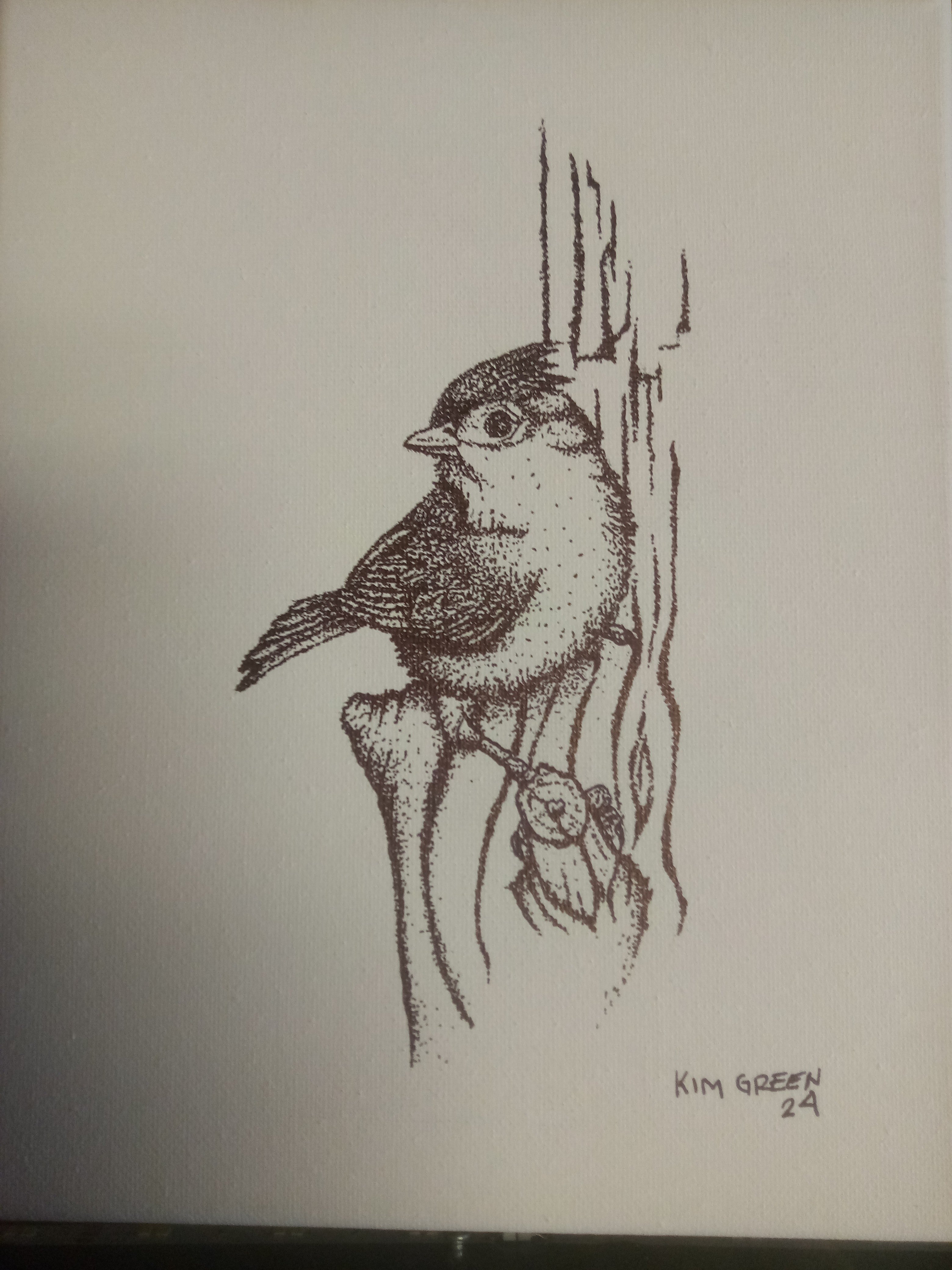 Stippled bird drawings on canvas