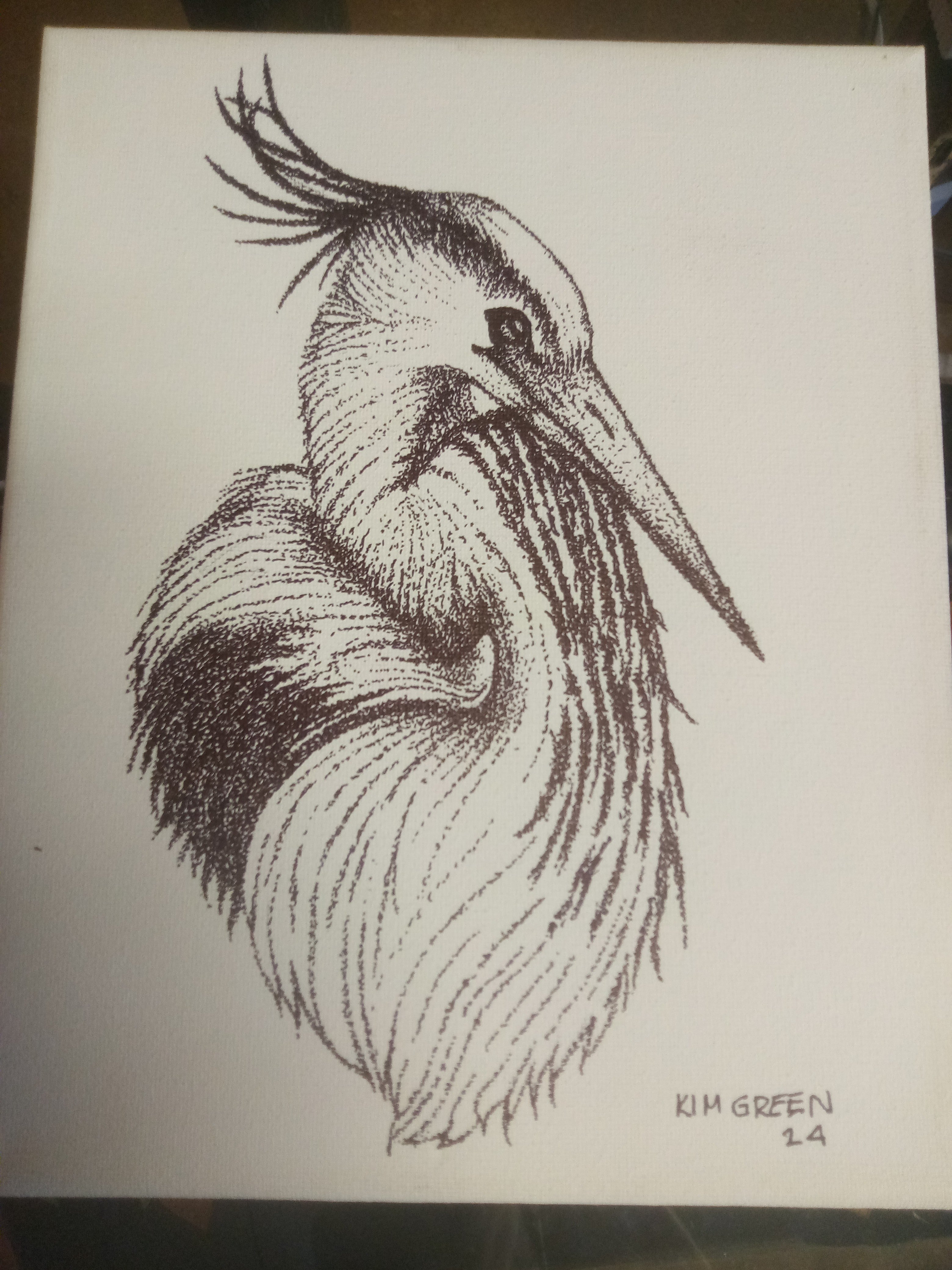 Heron Stippled Drawing on Canvas