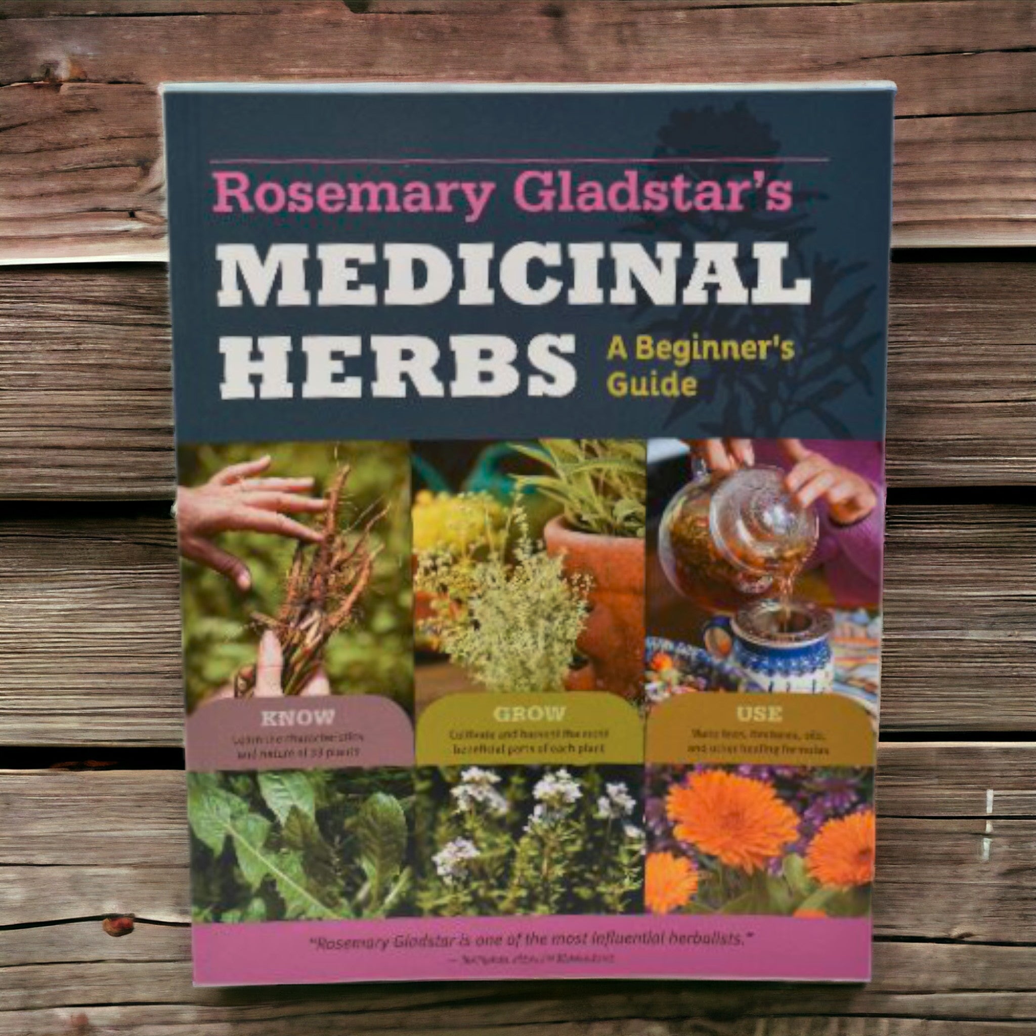 Medicinal Herbs Beginner Guide by Rosemary Gladstar Herbal Garden