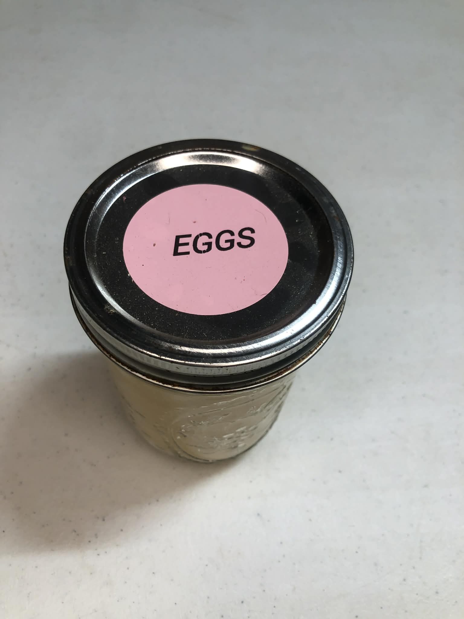 Freeze dried eggs