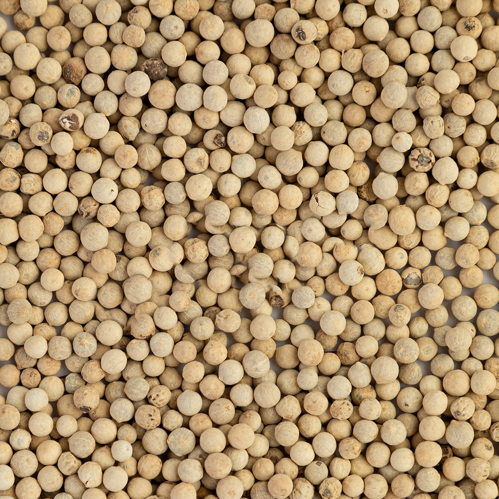 White Peppercorn